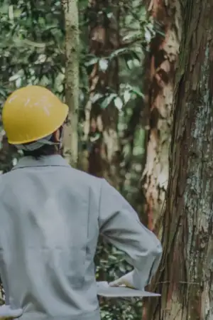 Profissional numa floresta a desenvolver estudos